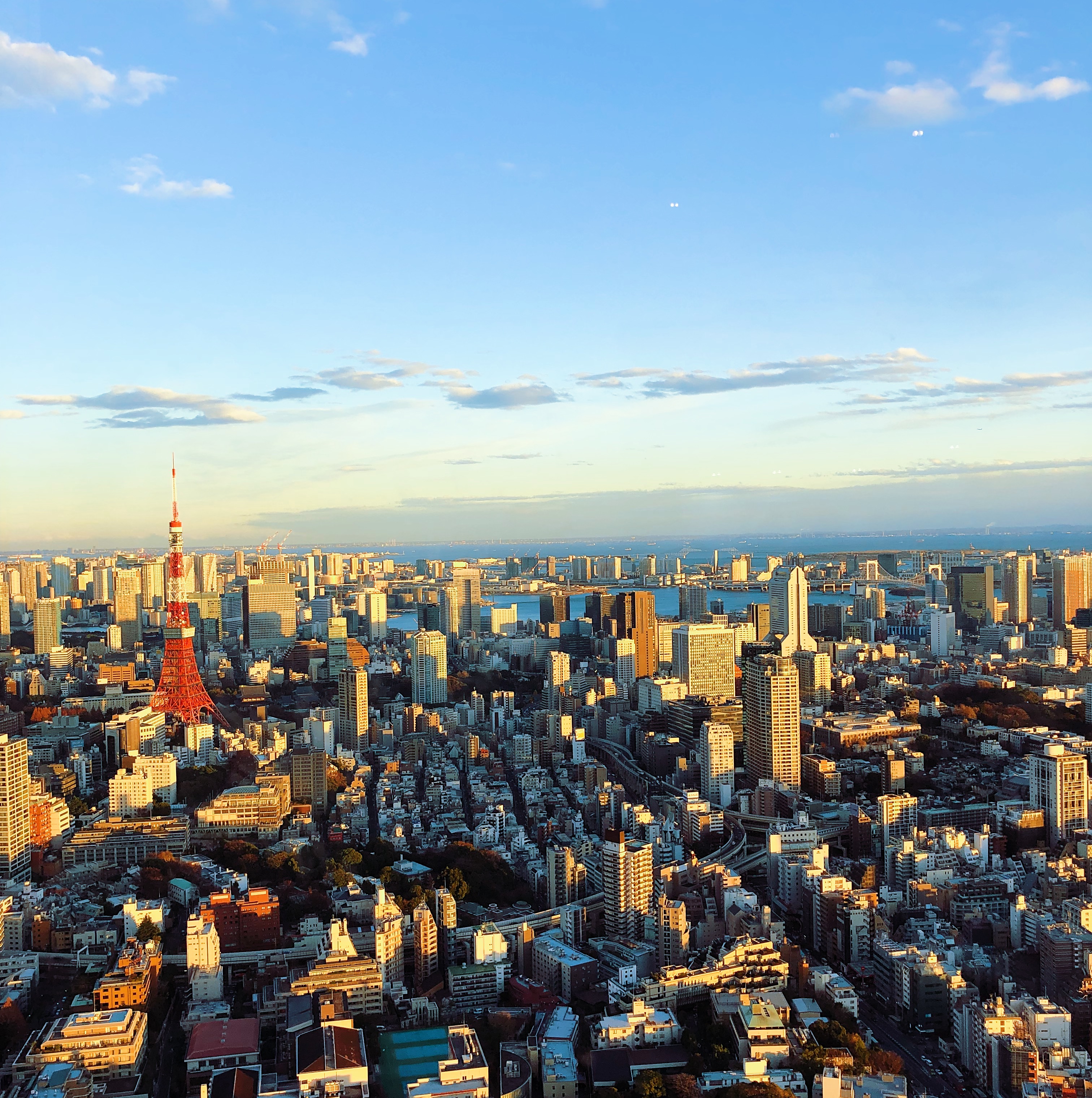 View of Tokyo