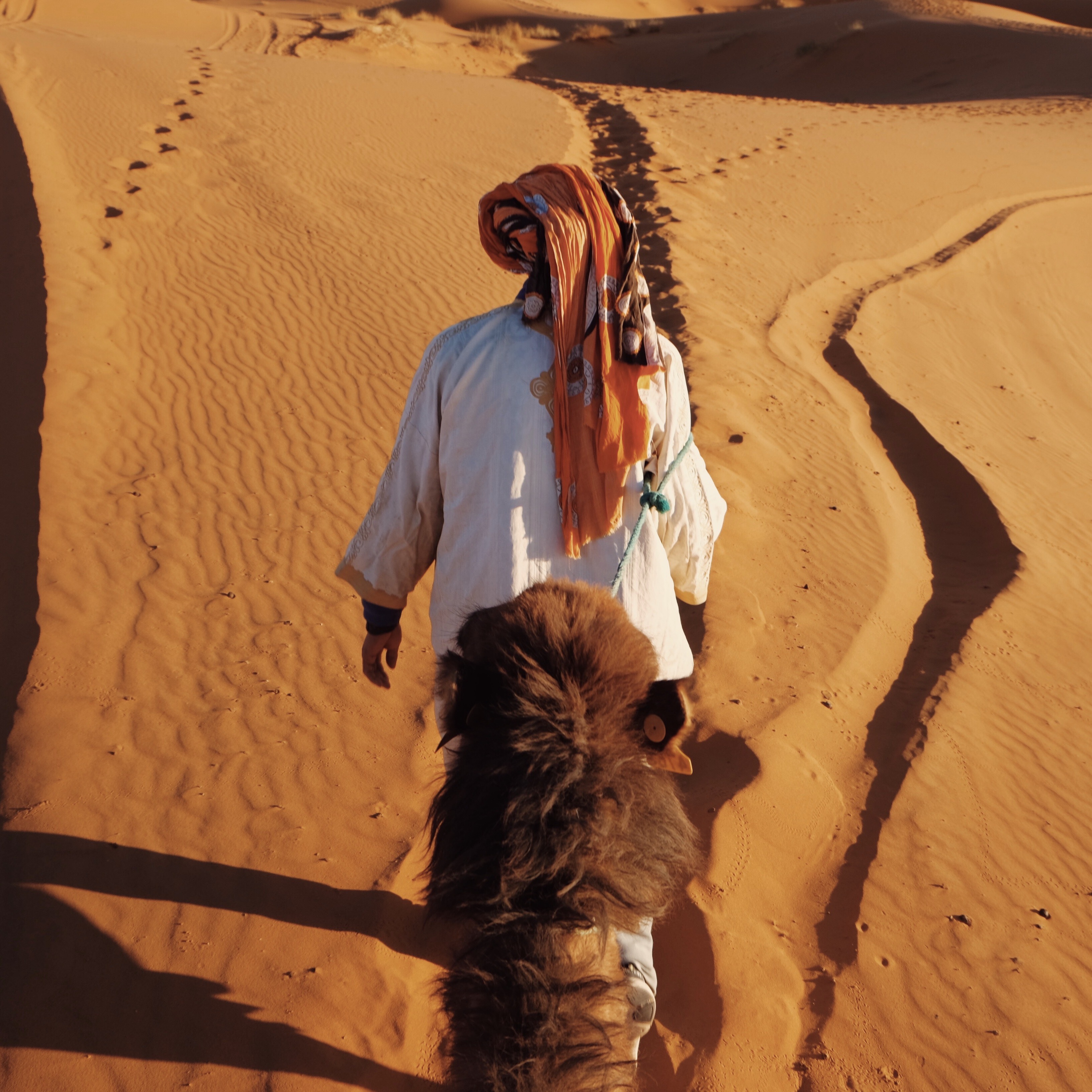 Sahara Desert, Morocco